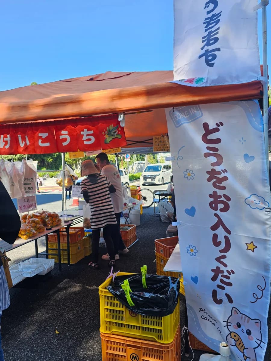 春夏秋冬の写真